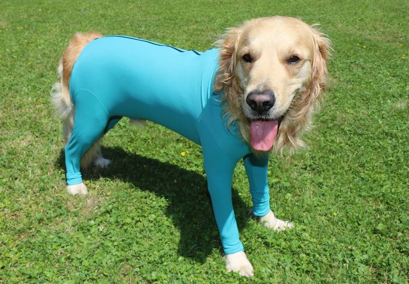 VetMedCare dog bodysuit with zipper and four legs