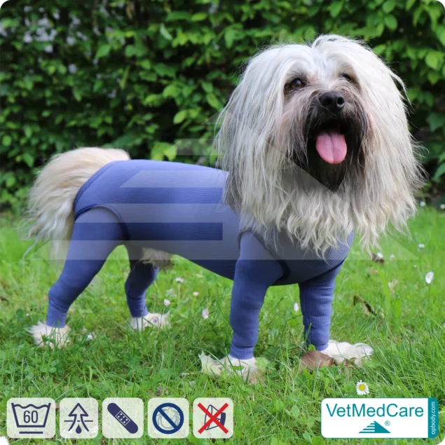 Dog bodysuit with legs | full body sweater / coat / jacket / hoodie - special for the male dog | VetMedCare®