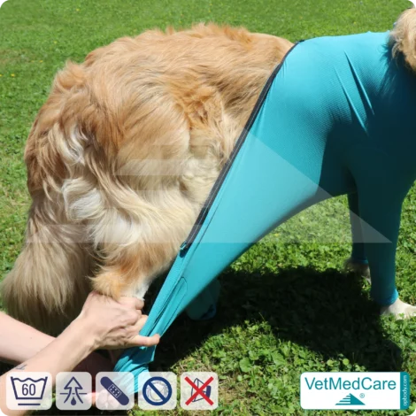 Dog bodysuit pet shirt with legs + zipper | dog full body medical pet coat / jacket / recovery vest | VetMedCare®