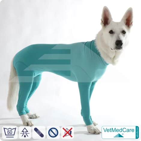 Dog bodysuit with legs | full body vest / coat / jacket / hoodie - especially for the female dog | VetMedCare®