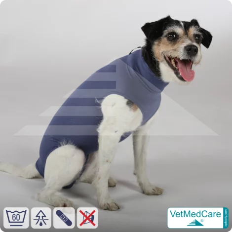 Dog suit / vest without legs | protective dog pet shirt / coat / jacket - especially for the female dog | VetMedCare®
