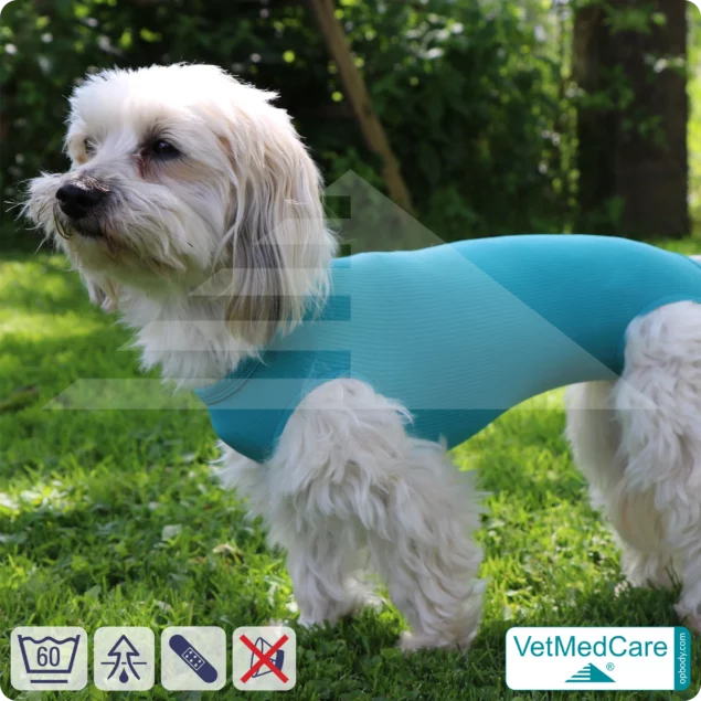 Dog suit / vest without legs | protective dog pet shirt / coat / jacket - especially for the female dog | VetMedCare®
