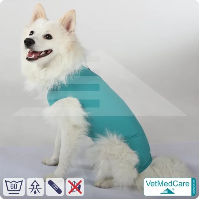 Dog suit / vest without legs - protective dog pet shirt / coat / jacket | especially for the male dog | VetMedCare®
