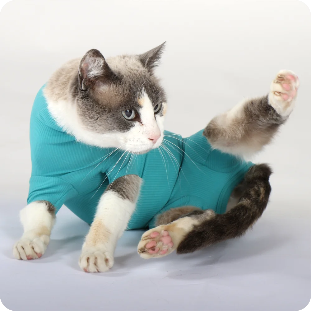 Cat Bodysuit | Cat body + wound protection specially developed for cats | VetMedCare®. Feedimage