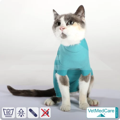 Cat bodysuit | recovery suit + wound protection specially developed for cats | VetMedCare®