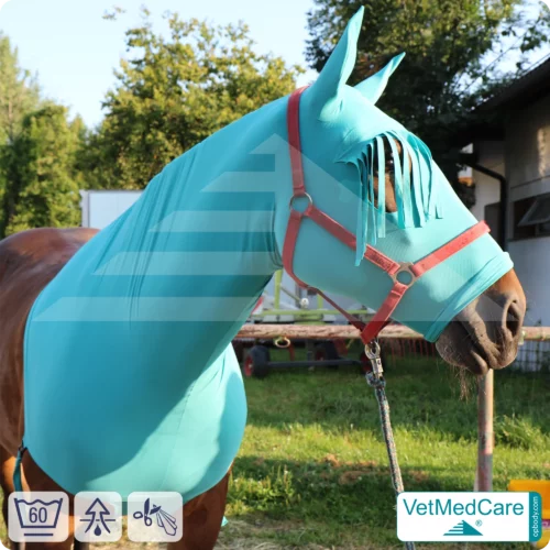 Horse Sleazy, Stretch Rug, Hood Protection Bonnet - fly, mosquito, insect protection of head, ears and neck - with forehead fringes | VetMedCare®