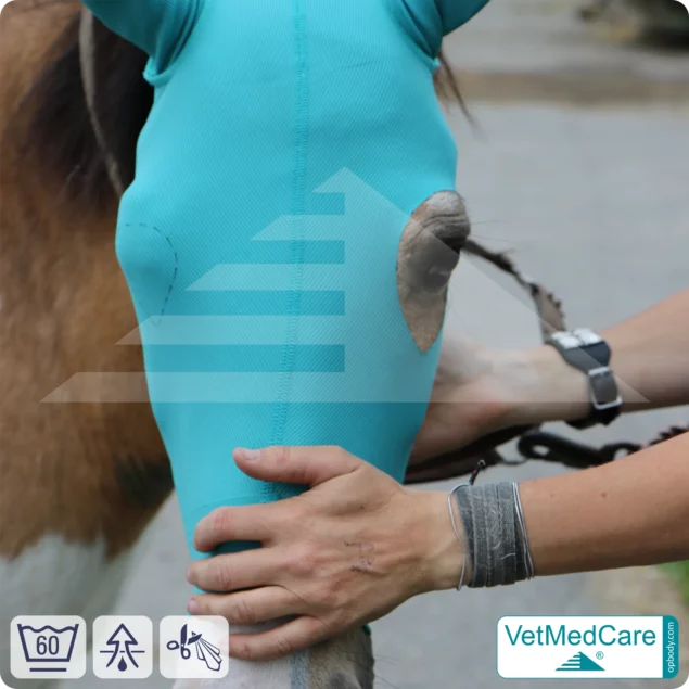 Horse head mask | Protection for eyes, head and ears - without eye cutout | Horse Head Ear Protector | VetMedCare®