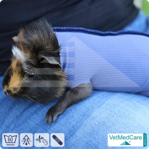 SAVINGS SET: Safety Tubes DIY | like gauze bandages, bandages and plasters in one | protection stockings for pets like hamsters, rabbits and small animals | VetMedCare®